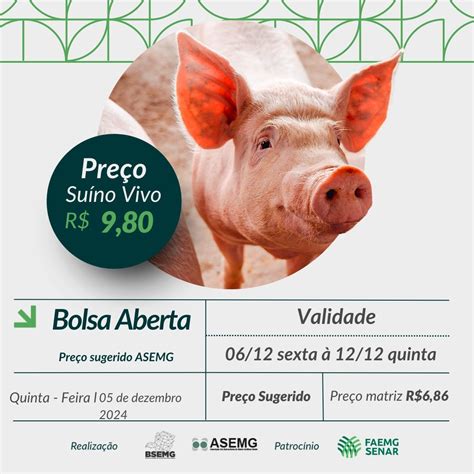 bolsa suino mg